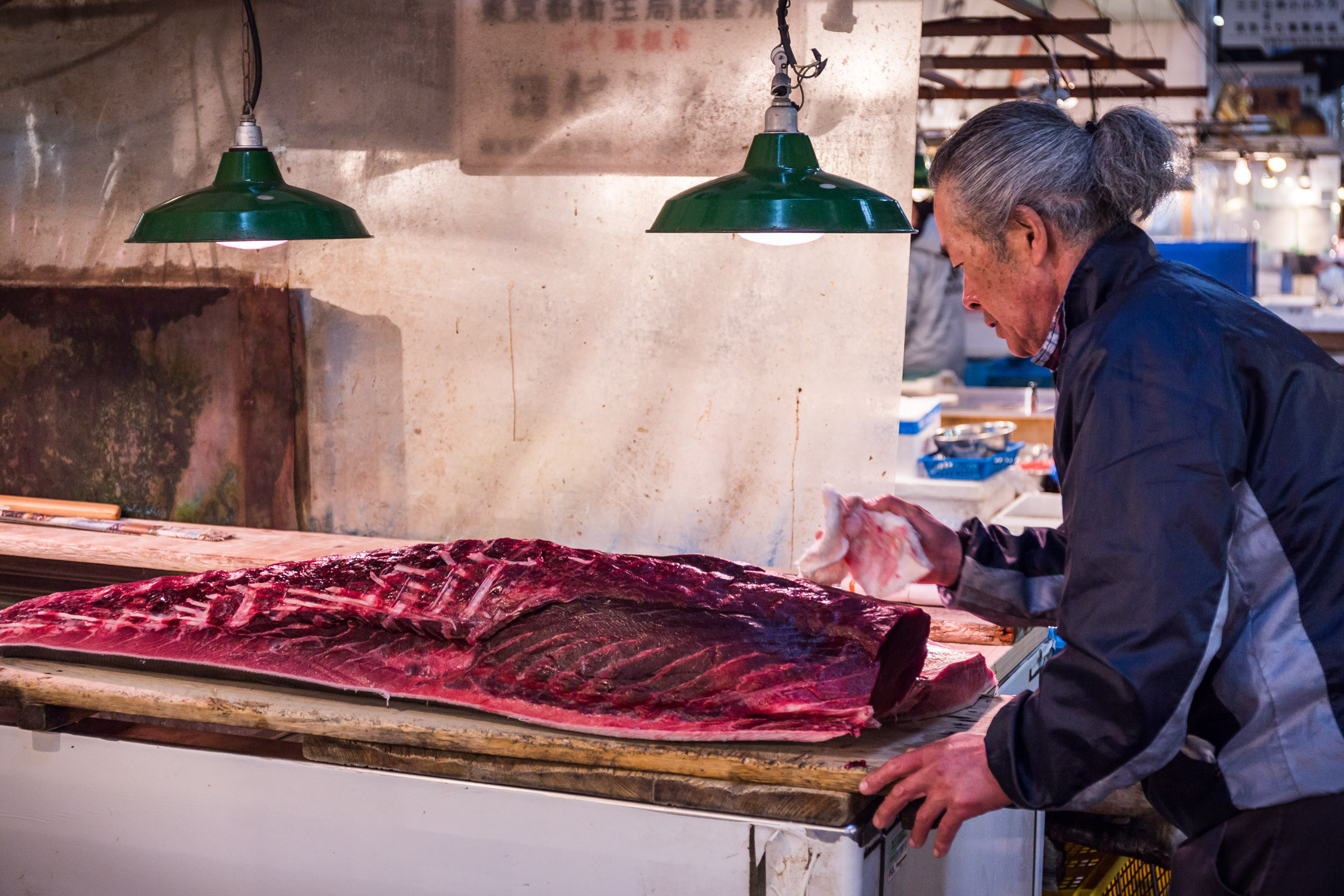 Tsukiji, Tokyo, 2016